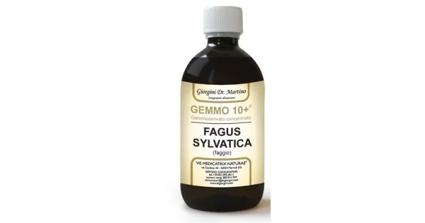 farmaciaconticini2519001