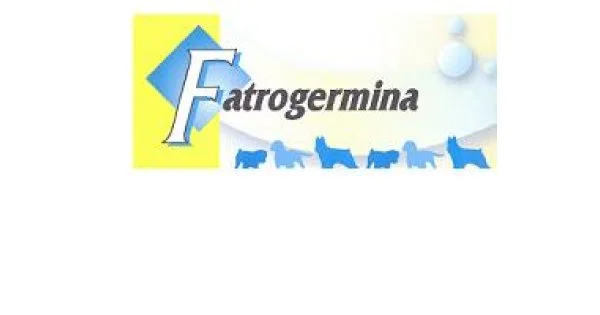 farmaciedelsorriso-12123938