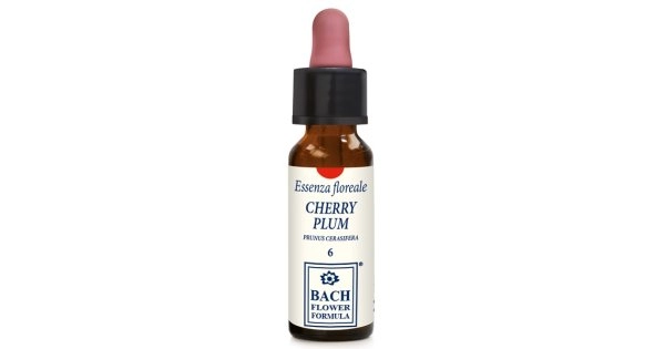 farmaciedelsorriso-12295066