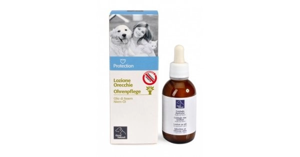 farmaciedelsorriso-12298177