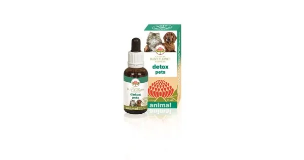 farmaciedelsorriso-12552507