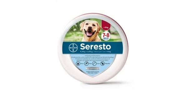 farmaciedelsorriso2183193