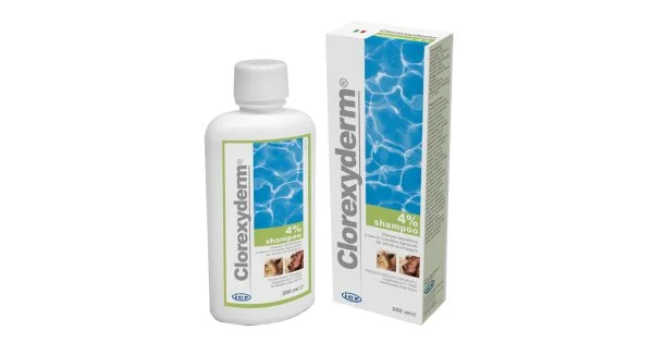 farmaciedelsorriso2184858