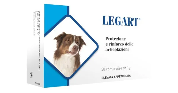 farmaciedelsorriso2187209